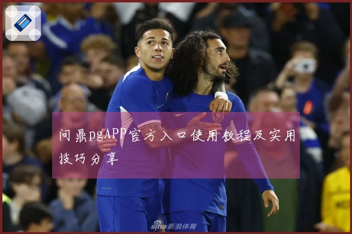 问鼎pgAPP官方入口使用教程及实用技巧分享