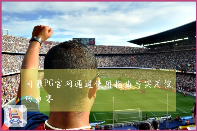 问鼎PG官网通道使用指南与实用技巧分享