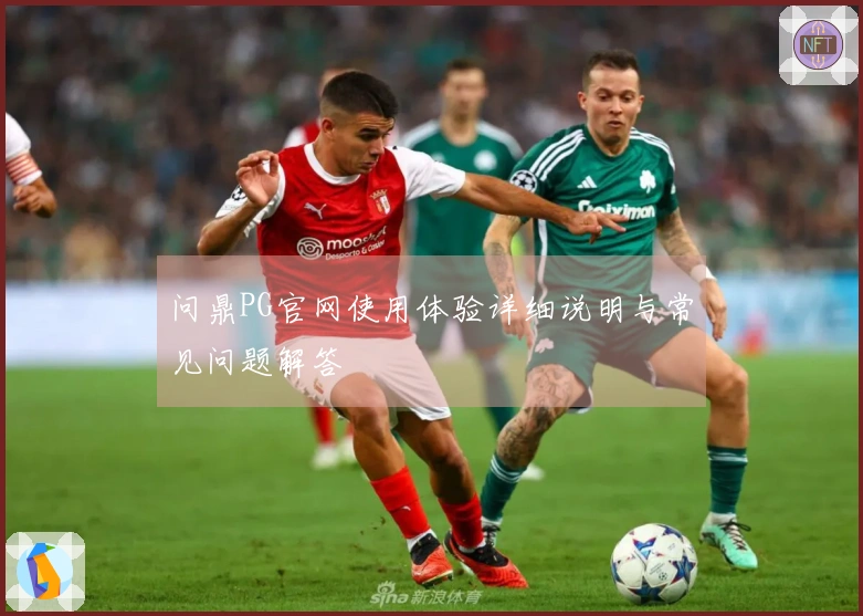 问鼎PG官网使用体验详细说明与常见问题解答